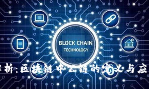 深入解析：区块链中公链的定义与应用价值