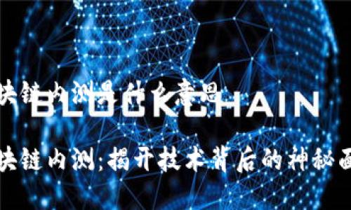 区块链内测是什么意思

区块链内测：揭开技术背后的神秘面纱